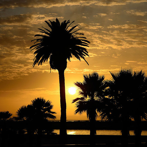 Living the Newport Beach, California Lifestyle! Events, recreation, shopping, restaurants, real estate and more...
