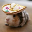 Bill Brinkerhoff - @BillBrinkerhoff - Twitter