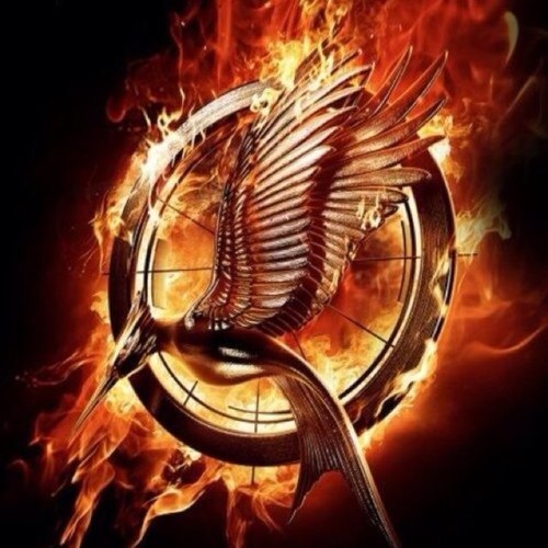 isitnov22ndyet's profile picture. is it november 22nd yet?