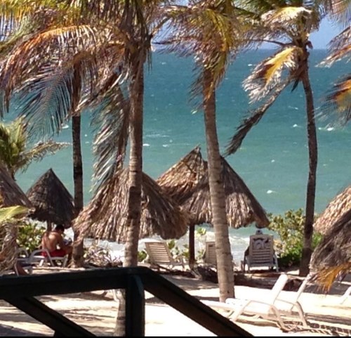 criptoo33's profile picture. Jesús en ti confío