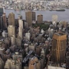 callinfopl's profile picture. 