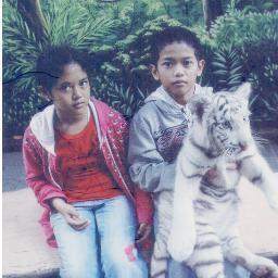 STIEB ( Universitas Widyatama)