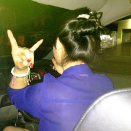 ♥ mom , ♥ dad , ♥ sister , ♥ my cat
and ♥ @gigiraal ♥ (˘⌣˘)ε˘`) (｡♥‿♥｡)