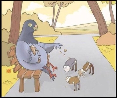 Meanwhile, in a parallel universe...