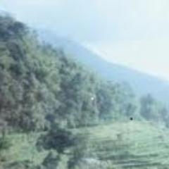 sekedar ingin tahu,....