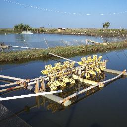 RifaniDwiHapsar's profile picture. fun & energic