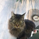 Marsha Nave - @MarshaNave - Twitter