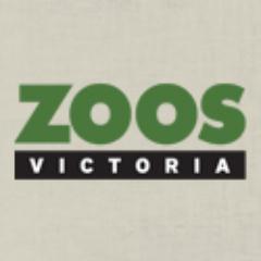 WerribeeZoo's profile picture. We're no longer tweeting from this account. Please follow @ZoosVictoria for official #WerribeeZoo tweets.