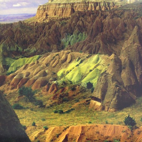 MamoTrucha's profile picture. 