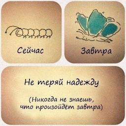 Люблю приключения.и путешествия.Это мечта всей моей жизни.Я хочу побывать во многих странах мира. Очень люблю учиться. Я очень любознательная. А вы??7