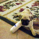 Carolyn Tyner - @CarolynDanTyner - Twitter