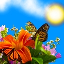 Kb13 - @kathy_barden - Twitter