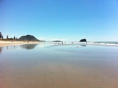 heavymetalgnome's profile picture. To see photos of my concert exploits check out my instagram: Heavymetalgnome 🤘