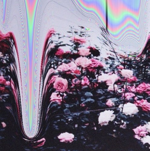 evathequiet's profile picture. forgive me, i'm new at this