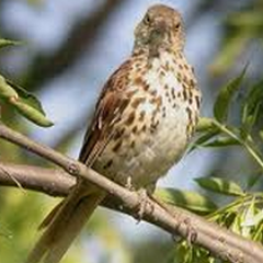 igeorgiai's profile picture. Enjoy everything @imondayi @ituesdayi @iwednesdayi @ithursdayi @ifridayi @isaturdayi @isundayi @ifamilyi @ifriendsi @ismilesi @isiti @ithankyoui @imomsi @idadsi