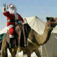 khaled (@khaledsalem9900) 's Twitter Profile