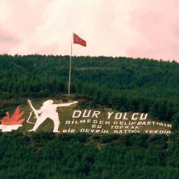 yasamayabak's profile picture. 