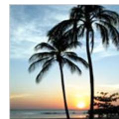 DenisXafi's profile picture. 