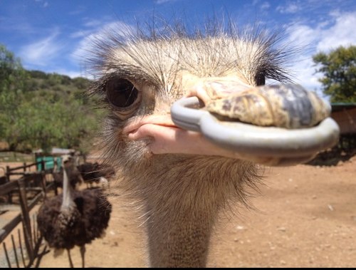 JakobLjungh's profile picture. 