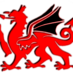 welshccc (@welshccc) Twitter profile photo welshccc (@welshccc) Twitter profile photo