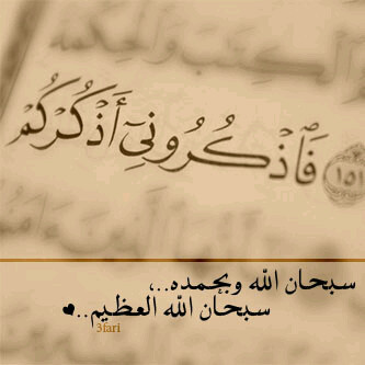 يشرفني أن أتواصل معكم عبر تويتر... أخوكم محمد المزروعي شكرا لكل من قبل صداقتي واضافتي فلهم مني كل احترام وتقدير.