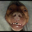 Desmond Burke - @dezburke1 - Twitter