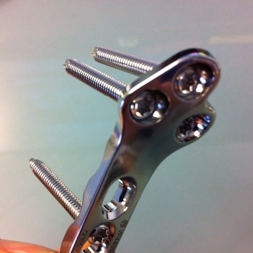 EvrardFort's profile picture. 