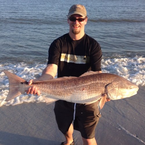 DSeavolt's profile picture. 