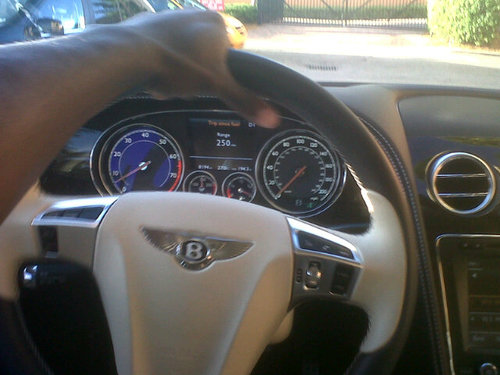 bari16's profile picture. 