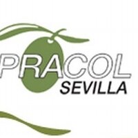 OPRACOL Sevilla (@opracolsev) 's Twitter Profile