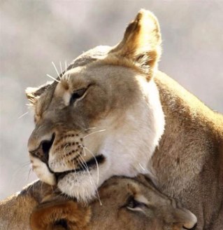 RoRubinacci's profile picture. 