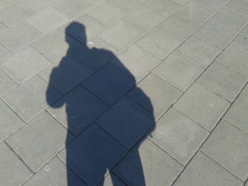 mfjschrauwen's profile picture. 