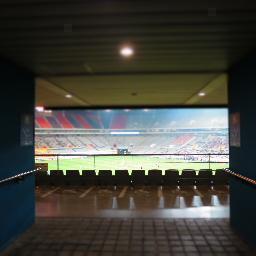 mangotree_'s profile picture. ^ㅠ^