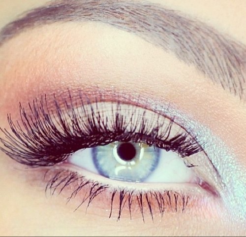 LoveBlue_eyes Profile Picture