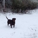 Reed Prewitt - @ReedPrewitt - Twitter