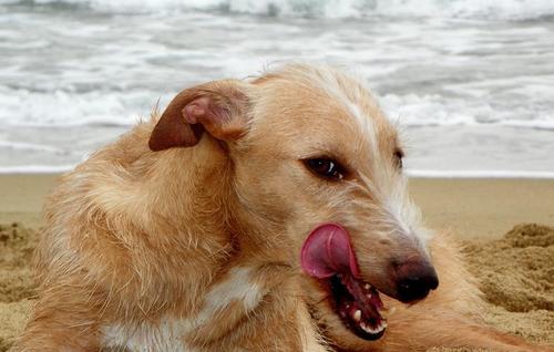 SPodenco's profile picture. 