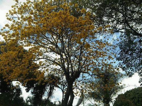 marianelagomez's profile picture. 