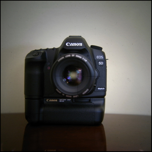 AgencyLife's profile picture. 