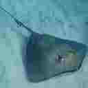 Ray Sumner - @StingraySumner - Twitter