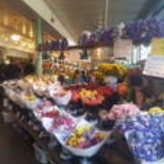 pjc2815's profile picture. 