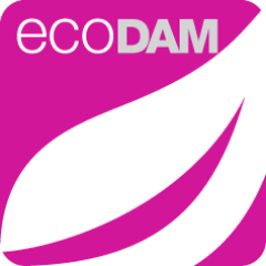 eco_DAM Profile Picture