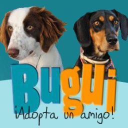 Espacio de encuentro entre animales en adopción y familias interesadas en adoptar ¡Te ayudamos a difundir tus adopciones! http://t.co/pJRloeUIj7