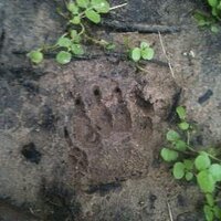 Jo Hamer (@joehamer) 's Twitter Profile