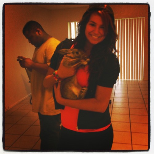 puertoricanhere's profile picture. i dont give a fuck about feelings , im a bitch .