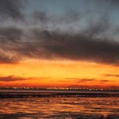 mzoon_22's profile image