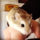 Sharon Morrill - @MorrillSharon - Twitter