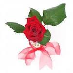 __LoveStories__ Profile Picture