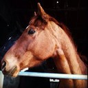 Ellen Kerr - @ElleonDuNord - Twitter