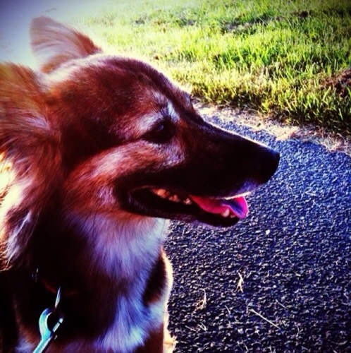 mitsuhiro_eno's profile picture. 釣り好きで、バス釣りから入り、現在は居酒屋で食べたカワハギの刺身に感動して、カワハギ釣りにはまってます。釣り味、食味とも最高です。その他ガーデニングとＤＩＹが趣味。いつの日か、ＤＩＹで趣味の釣り部屋を作るのが夢です。カワハギ、マルイカ、フグ、バス、小型船舶1級（特殊、特定）、DIY、ガーデニング、バイク