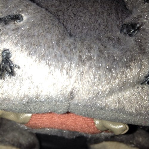 TheBertilicious's profile picture. NCIS fan dude. Follow me, I don't bite… at least not via the internet. Instagram: thebertilicious